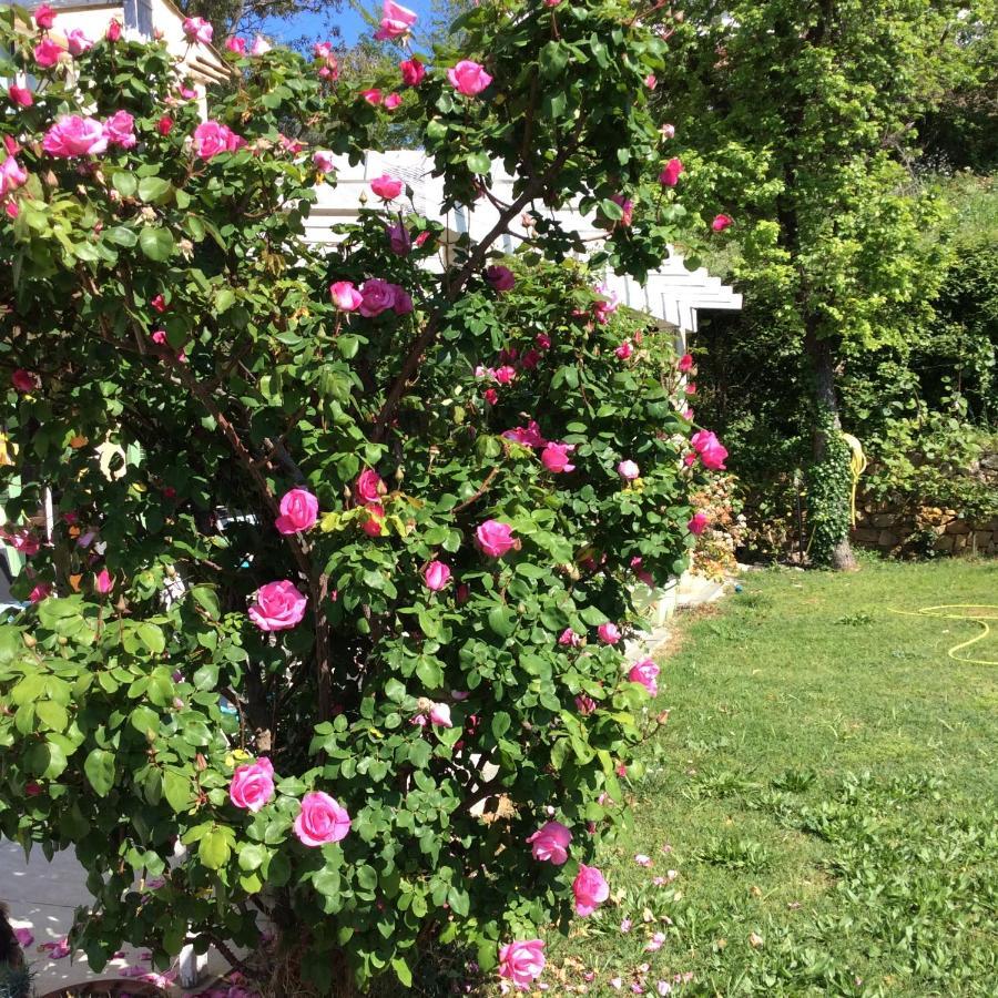 Bienvenue Chez Alain Et Marie Apartman Antibes Kültér fotó